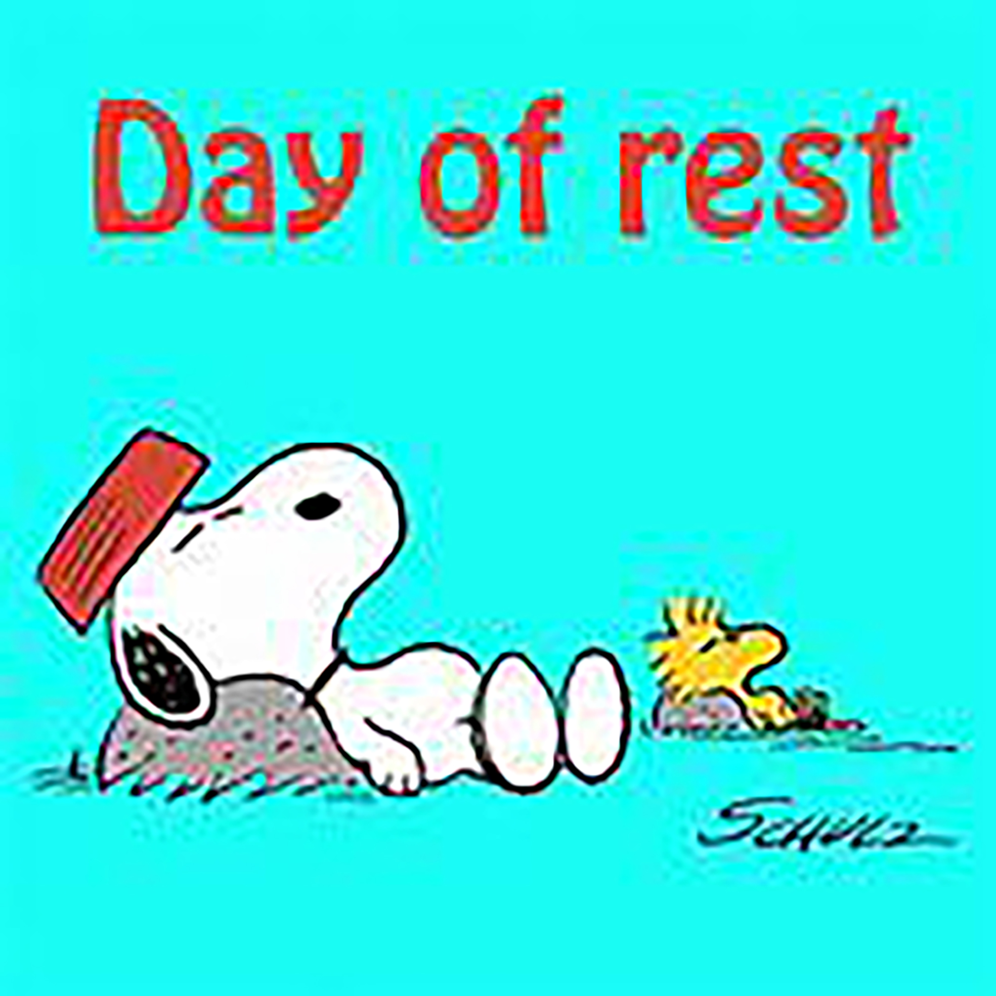 You are currently viewing Day of Rest – The Editor Sleeps